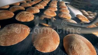 输送<strong>机</strong>上的烘焙产品。 准备好的面包从烤箱里出来。 食品加工厂。